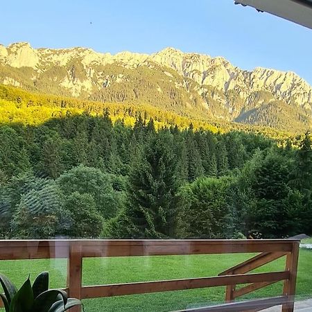 Pensiune Subcrai Cu Centru Spa Zărneşti Kültér fotó