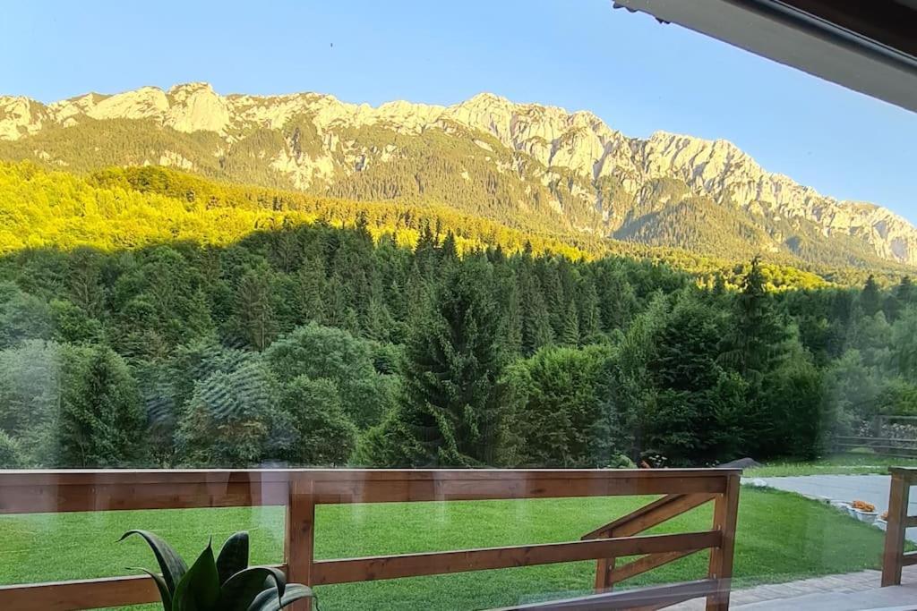 Pensiune Subcrai Cu Centru Spa Zărneşti Kültér fotó